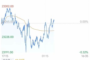 半岛体育app-TON走高势惊人，一夜飙升6.49%，加密市场沸腾，震惊市场