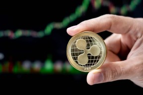 半岛体育app-XRP冲破494美元大关，牛市是否已来临？