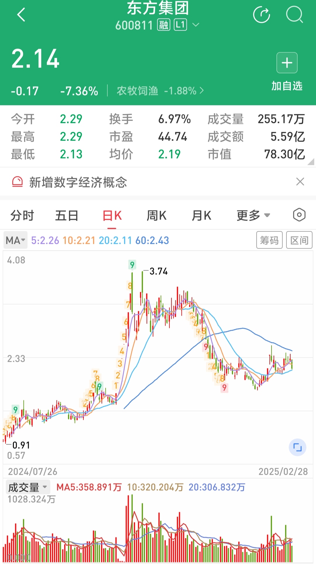 TON上扬势惊人，一夜飙升XRP%，加密市场沸腾