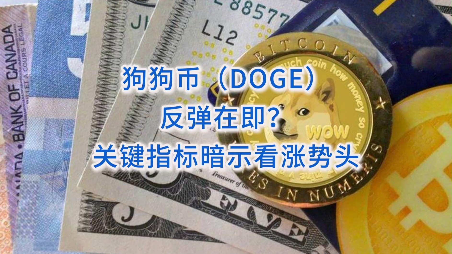 包含狗狗币遭遇大幅下滑超455%，投资者恐慌性抛售的词条